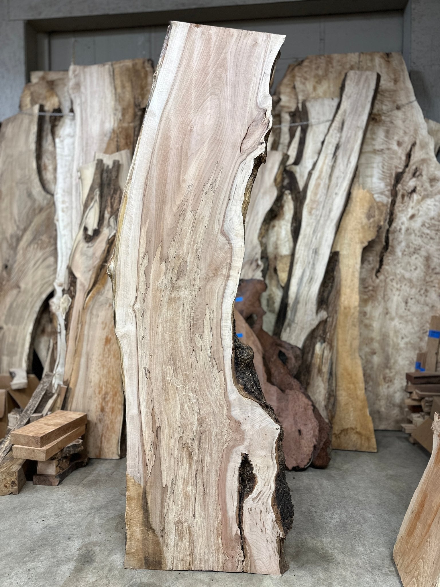 LiveEdge Big Leaf Maple | Big Leaf Maple | Hamilton Lee Supply