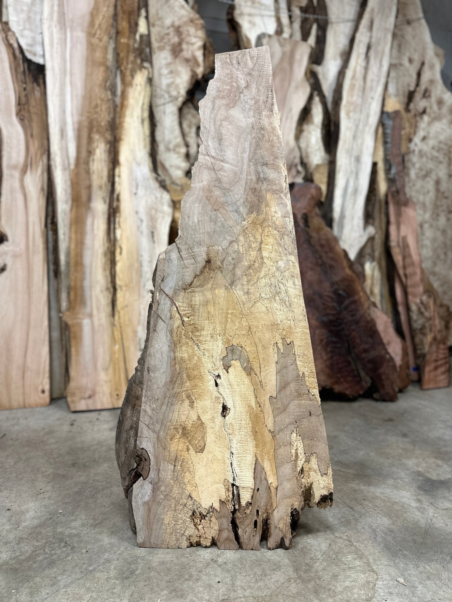 LiveEdge Big Leaf Maple | Big Leaf Maple | Hamilton Lee Supply