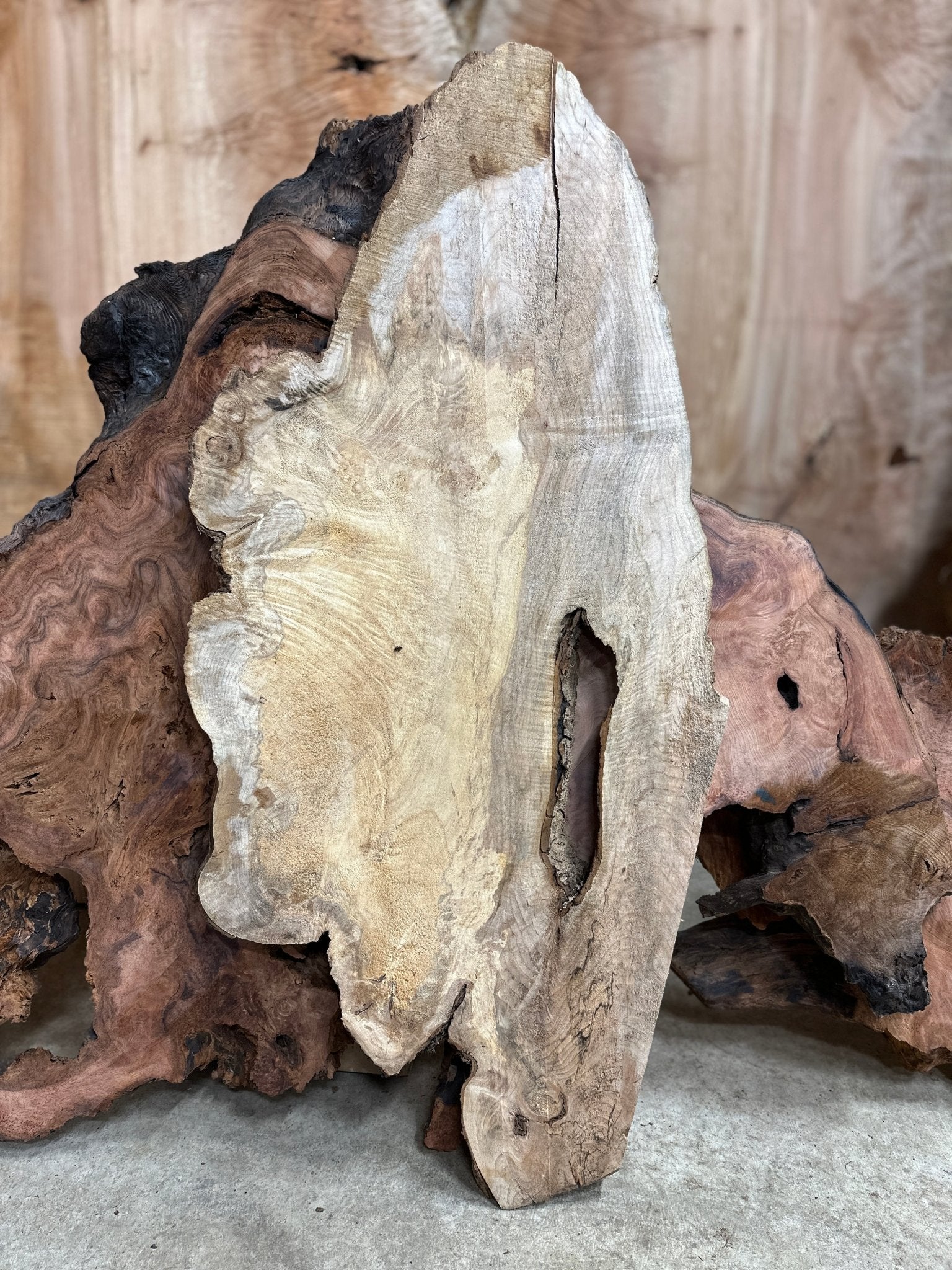 LiveEdge Big Leaf Maple | Big Leaf Maple | Hamilton Lee Supply