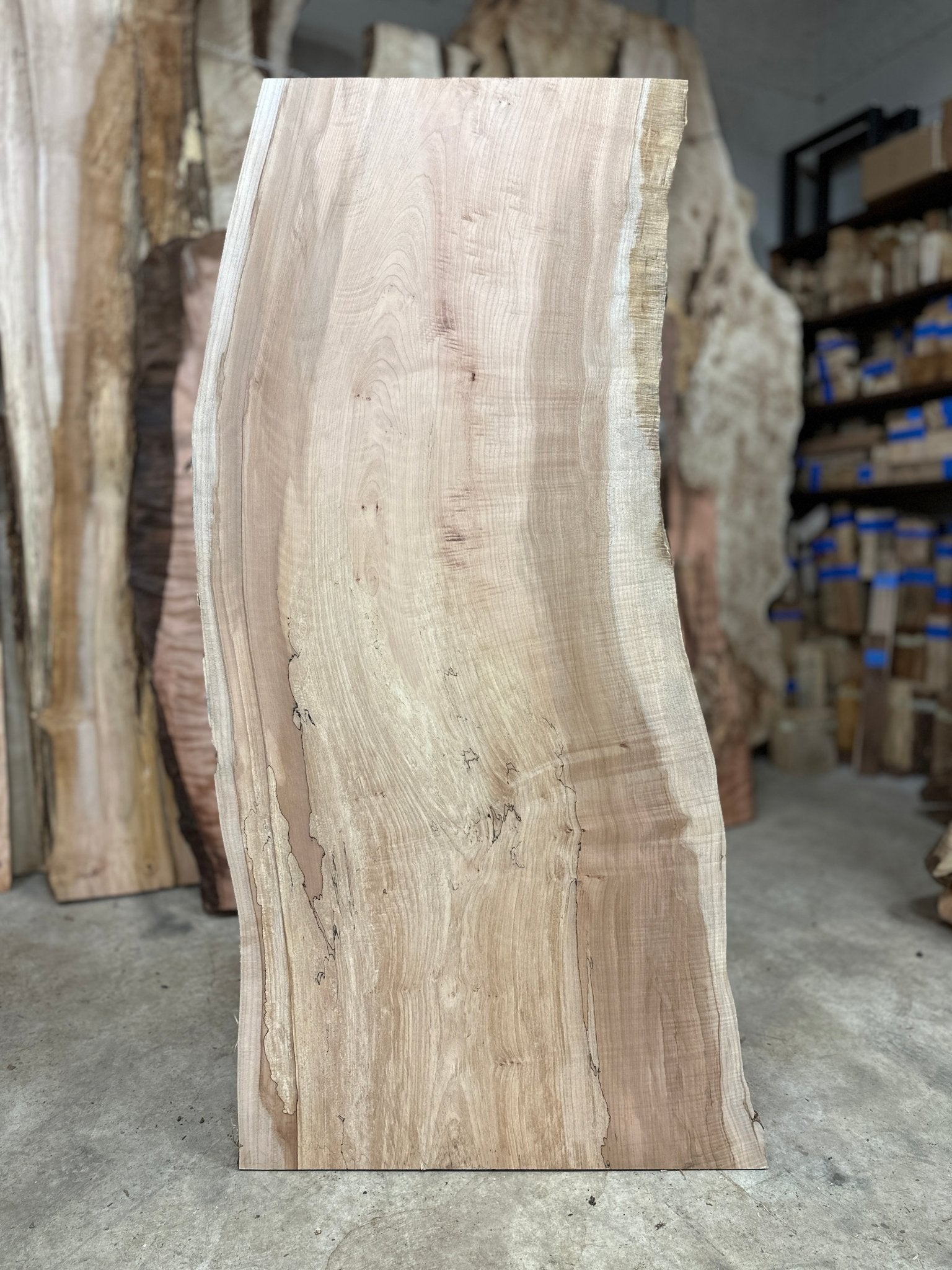 LiveEdge Big Leaf Maple | Big Leaf Maple | Hamilton Lee Supply