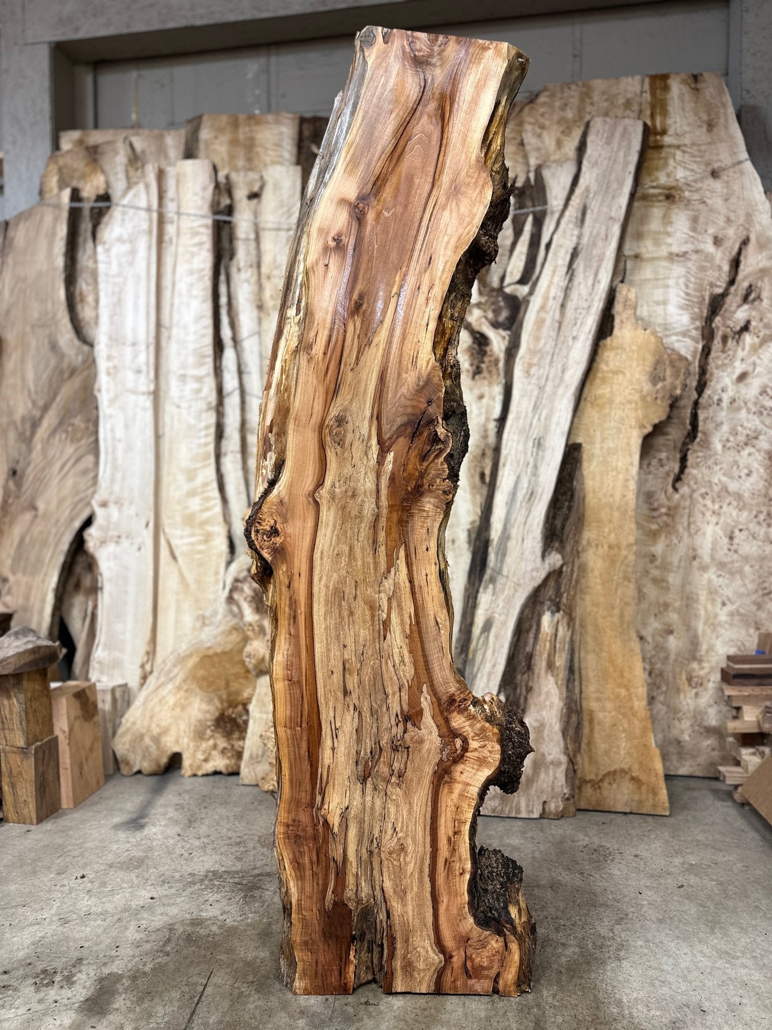 LiveEdge Big Leaf Maple | Big Leaf Maple | Hamilton Lee Supply