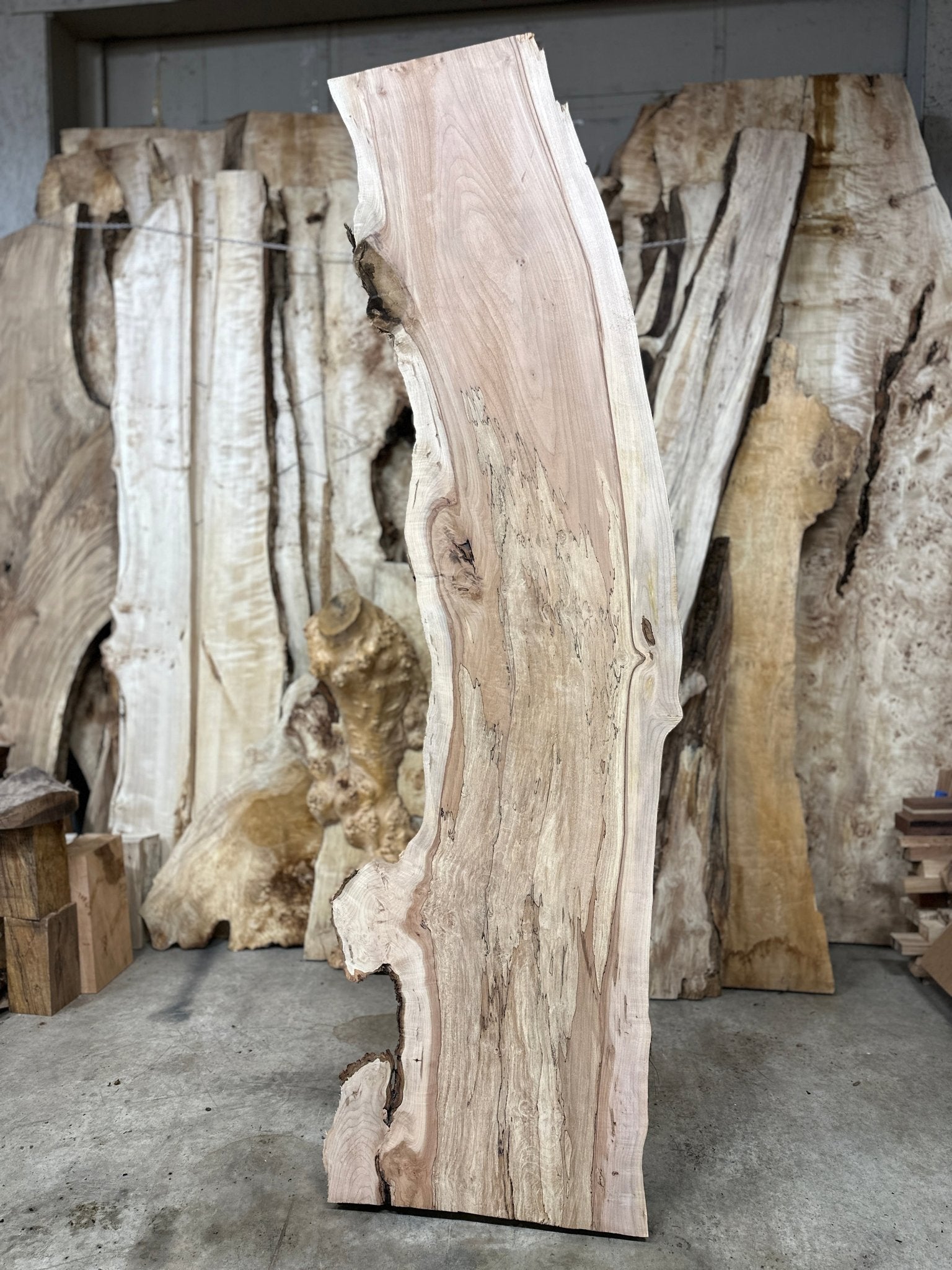 LiveEdge Big Leaf Maple | Big Leaf Maple | Hamilton Lee Supply