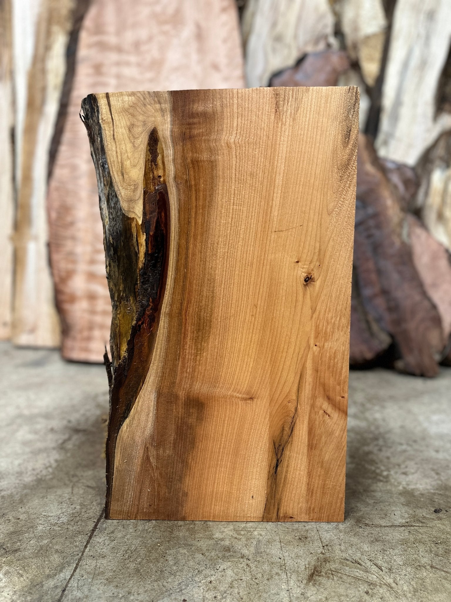 LiveEdge Big Leaf Maple | Big Leaf Maple | Hamilton Lee Supply