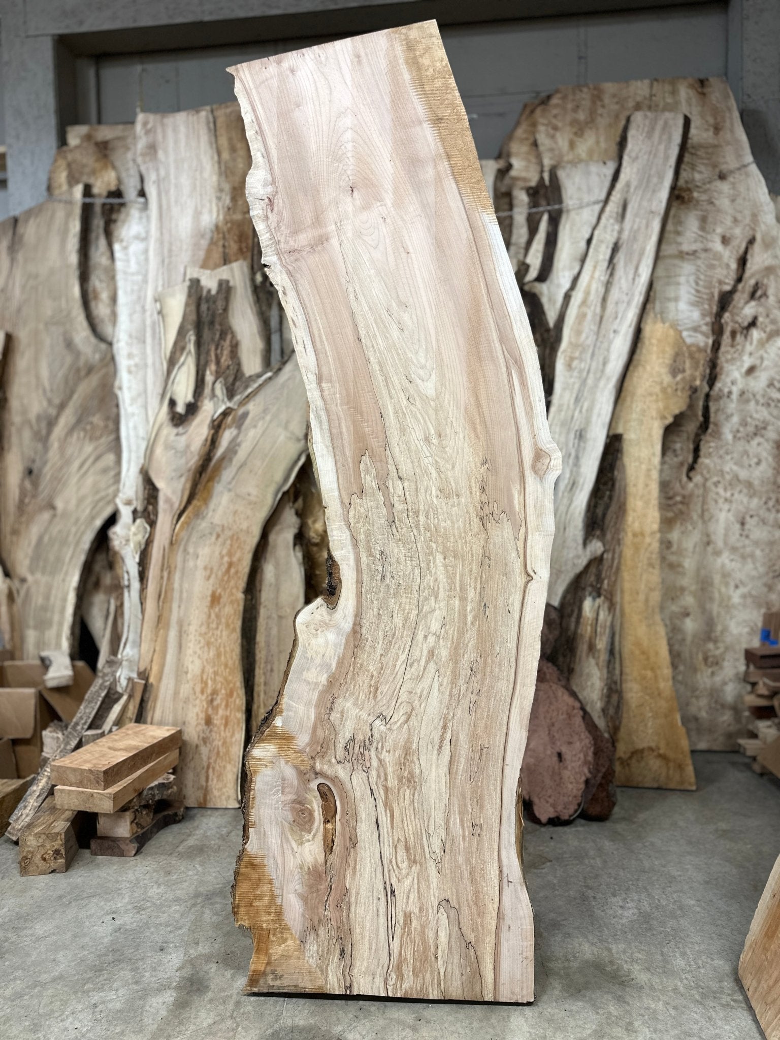 LiveEdge Big Leaf Maple | Big Leaf Maple | Hamilton Lee Supply