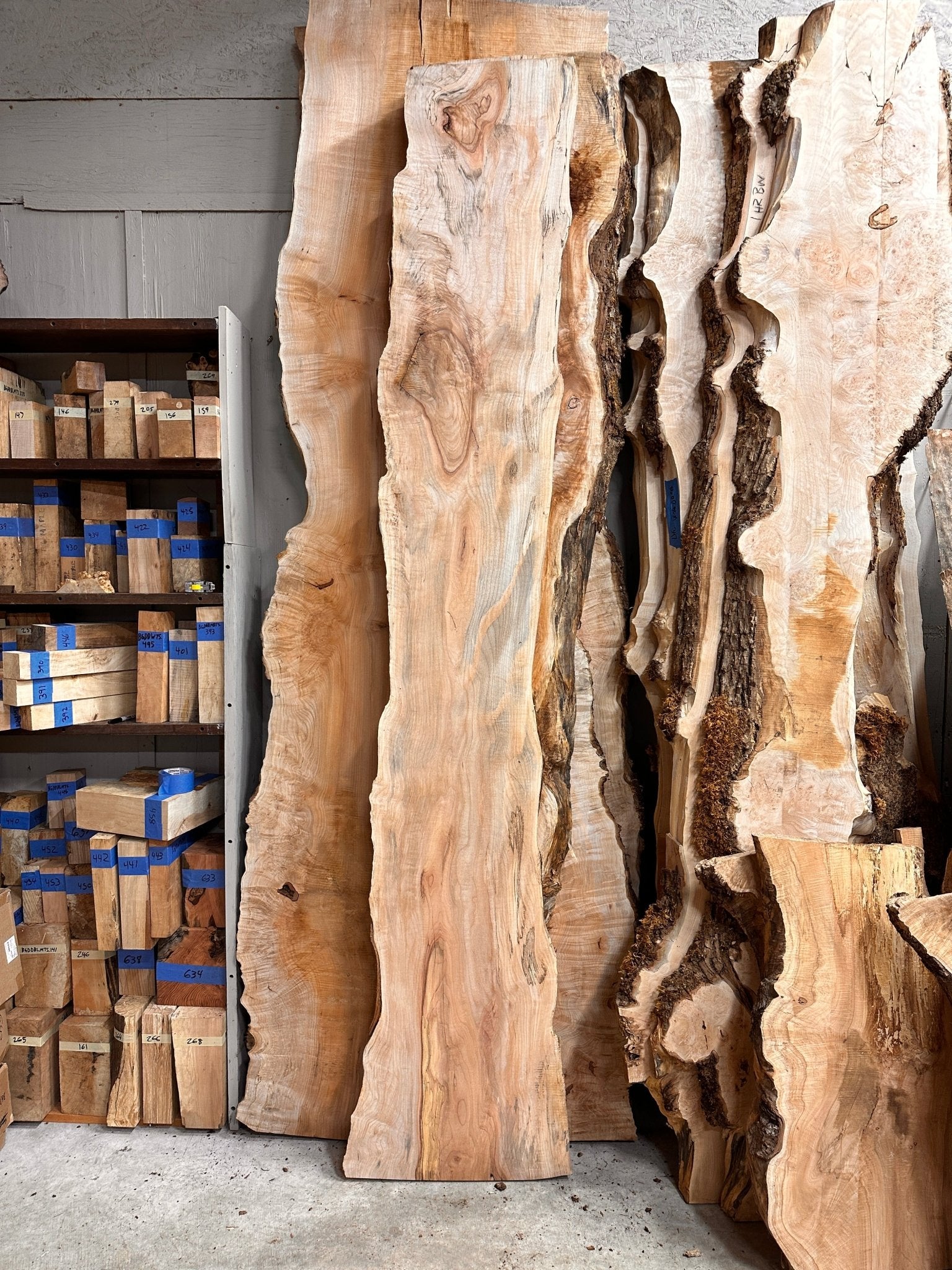 LiveEdge Big Leaf Maple | Big Leaf Maple | Hamilton Lee Supply