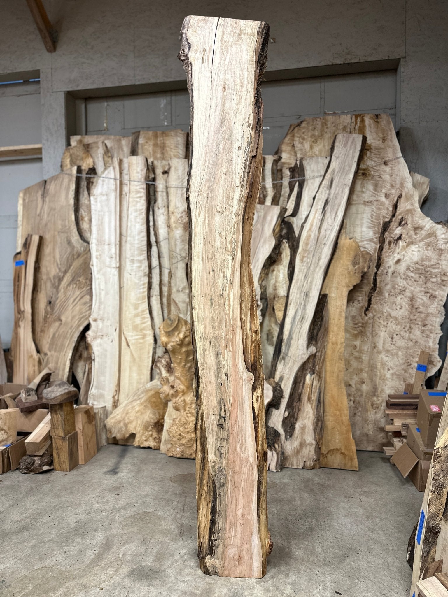 LiveEdge Big Leaf Maple | Big Leaf Maple | Hamilton Lee Supply