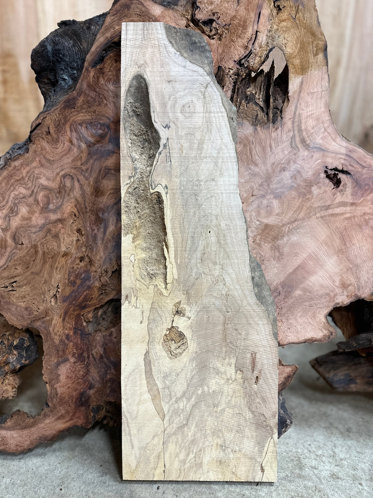 LiveEdge Big Leaf Maple | Big Leaf Maple | Hamilton Lee Supply