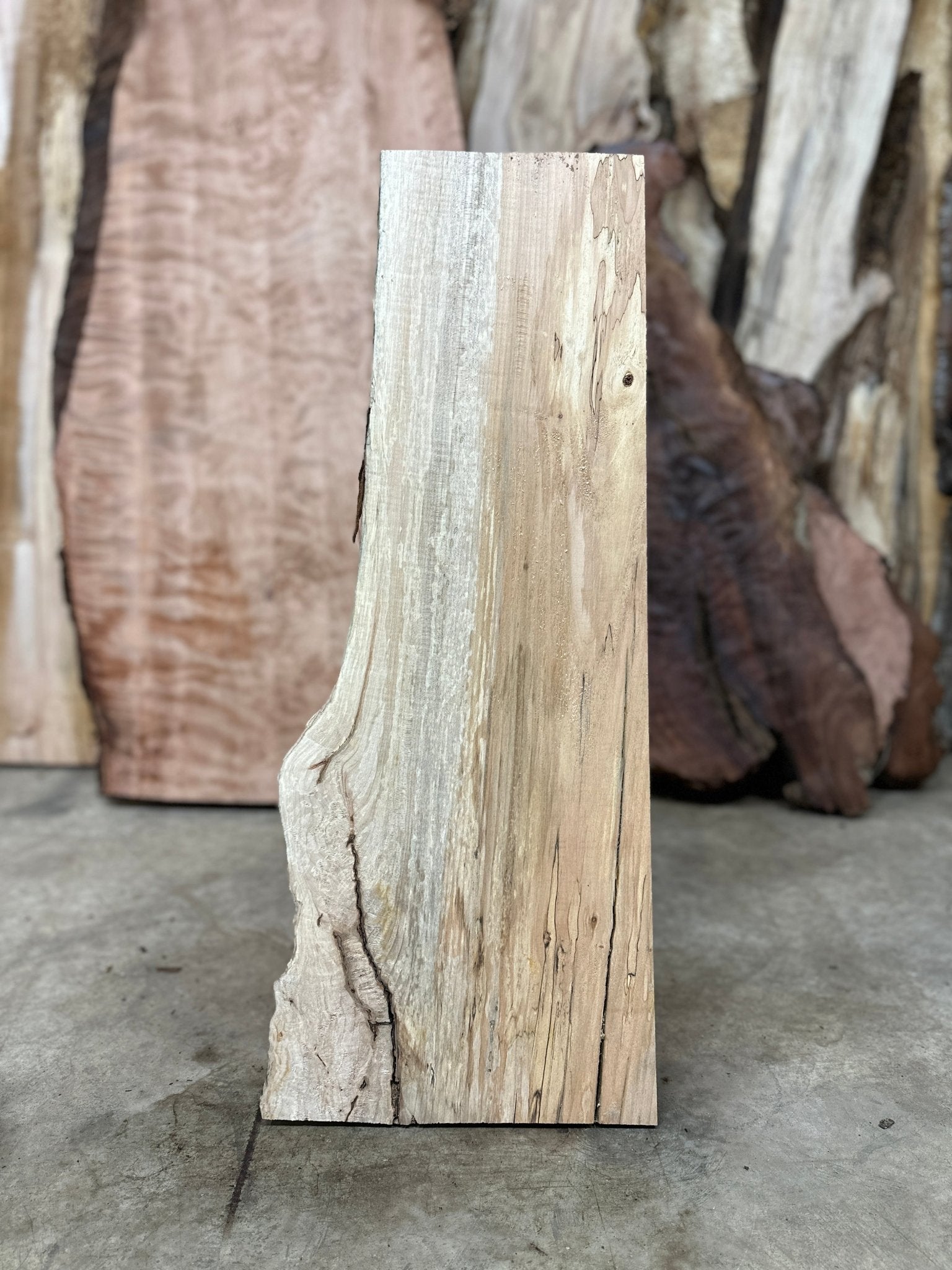 LiveEdge Big Leaf Maple | Big Leaf Maple | Hamilton Lee Supply