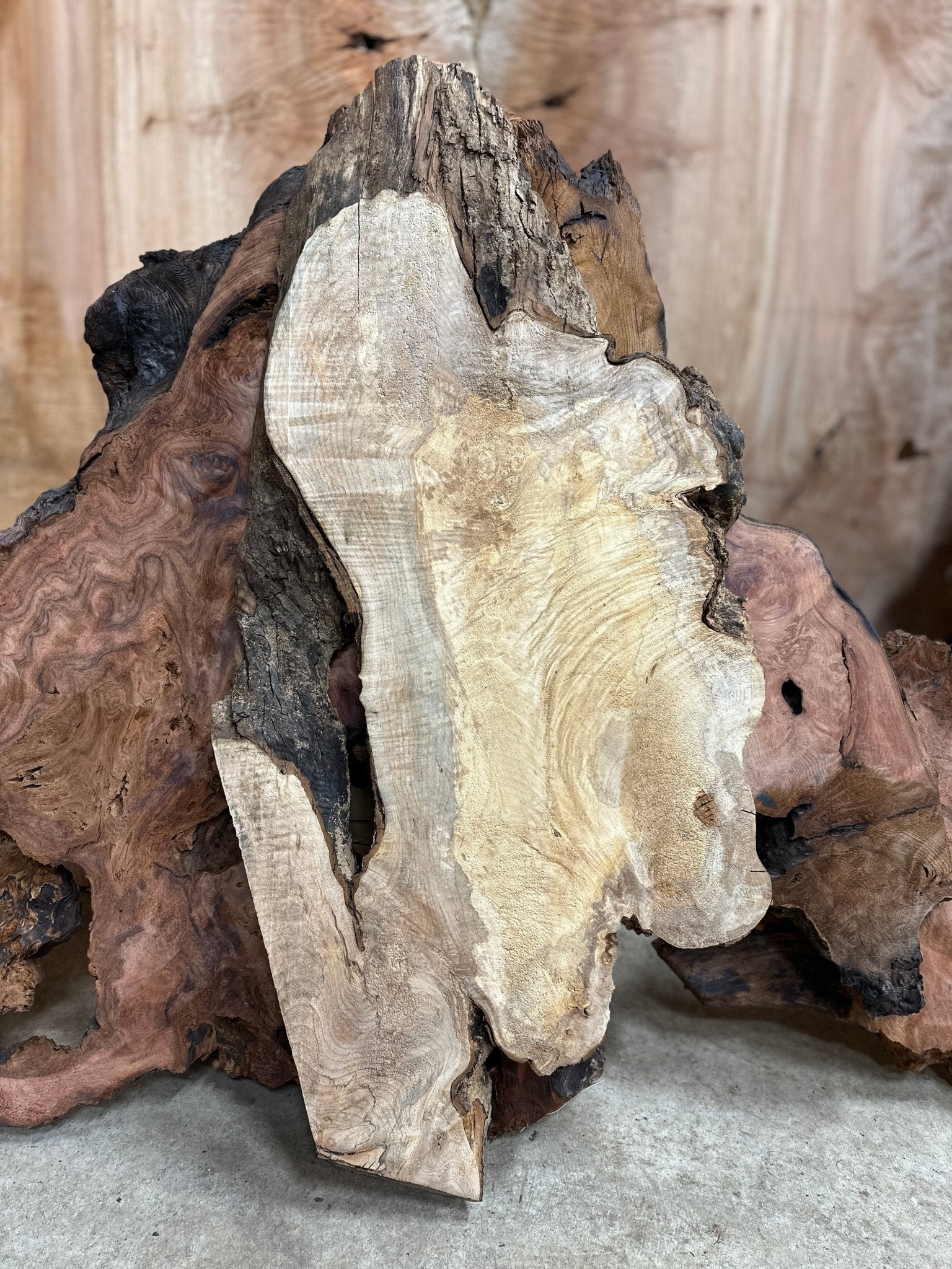 LiveEdge Big Leaf Maple | Big Leaf Maple | Hamilton Lee Supply