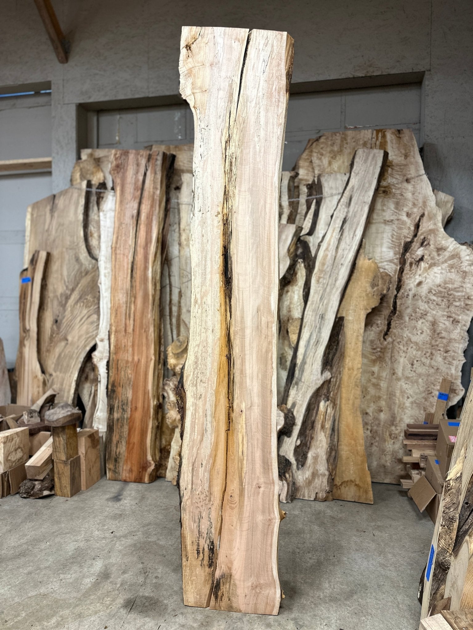 LiveEdge Big Leaf Maple | Big Leaf Maple | Hamilton Lee Supply