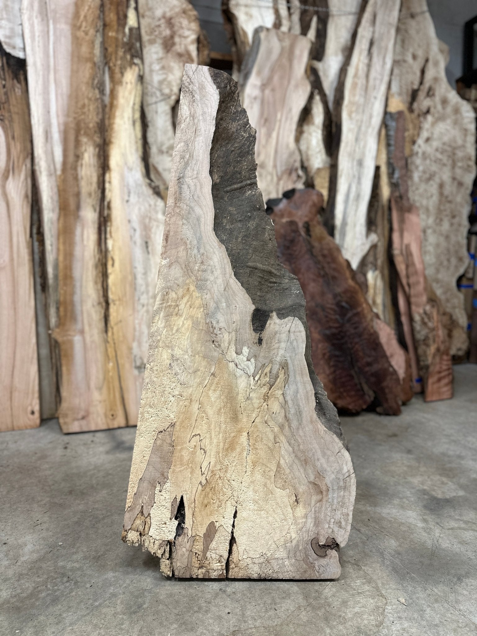 LiveEdge Big Leaf Maple | Big Leaf Maple | Hamilton Lee Supply