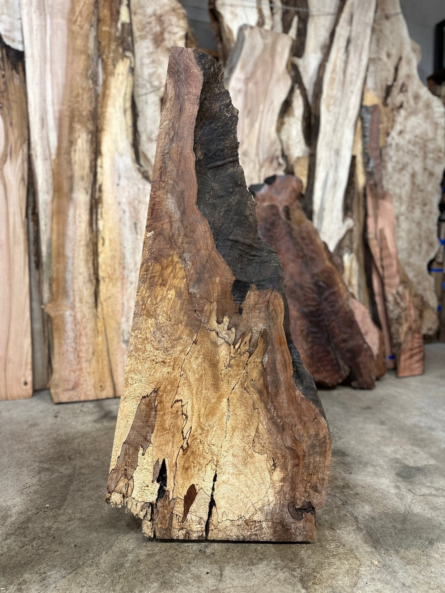 LiveEdge Big Leaf Maple | Big Leaf Maple | Hamilton Lee Supply