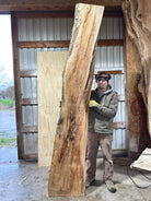 LiveEdge Big Leaf Maple | Big Leaf Maple | Hamilton Lee Supply