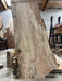 Double Diamond | LiveEdge Big Leaf Maple Premium Spalt | Big Leaf Maple | Hamilton Lee Supply