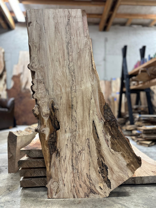 Double Diamond | LiveEdge Big Leaf Maple Premium Spalt | Big Leaf Maple | Hamilton Lee Supply