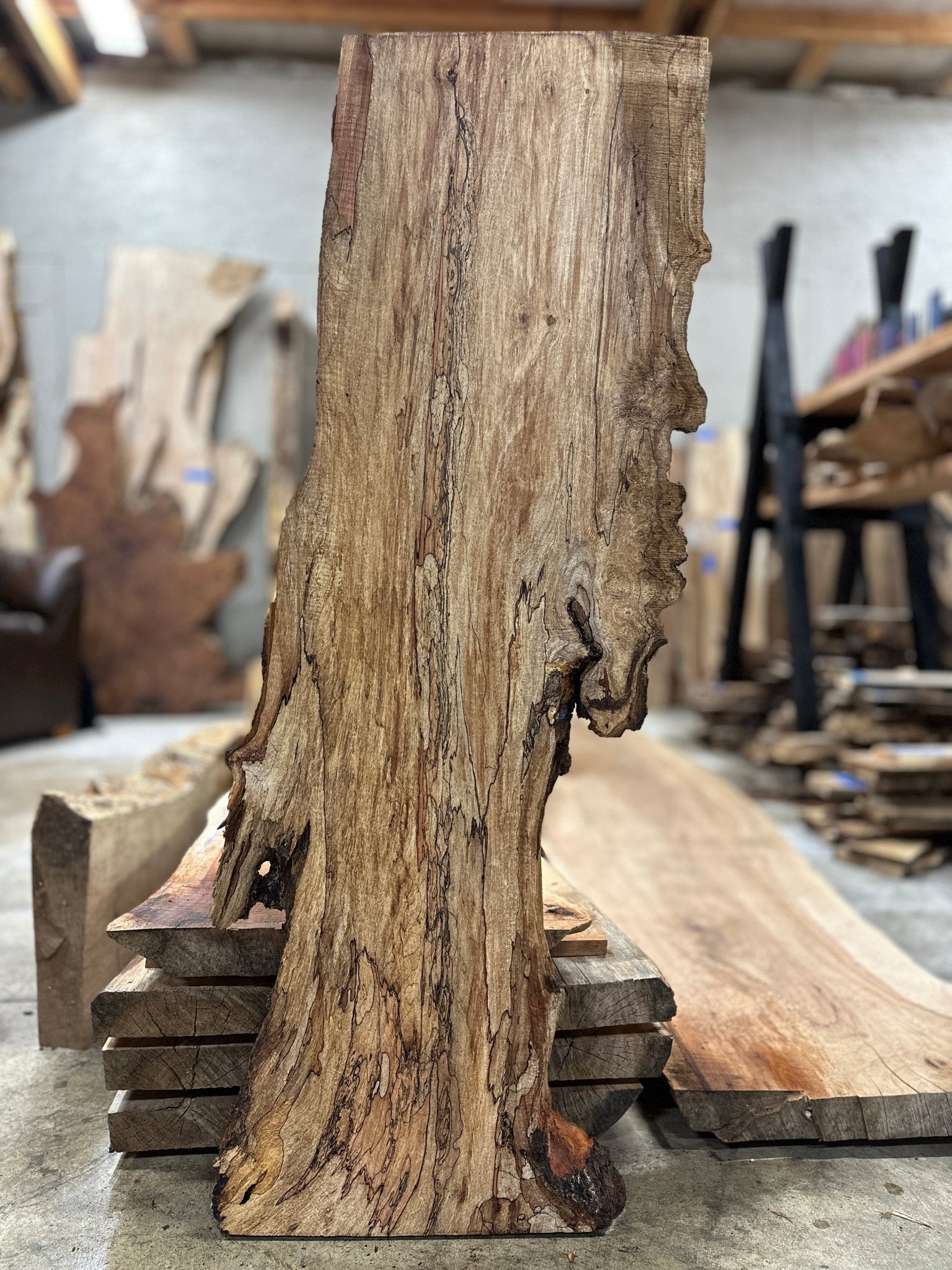 LiveEdge Big Leaf Maple Premium Spalt | Big Leaf Maple | Hamilton Lee Supply