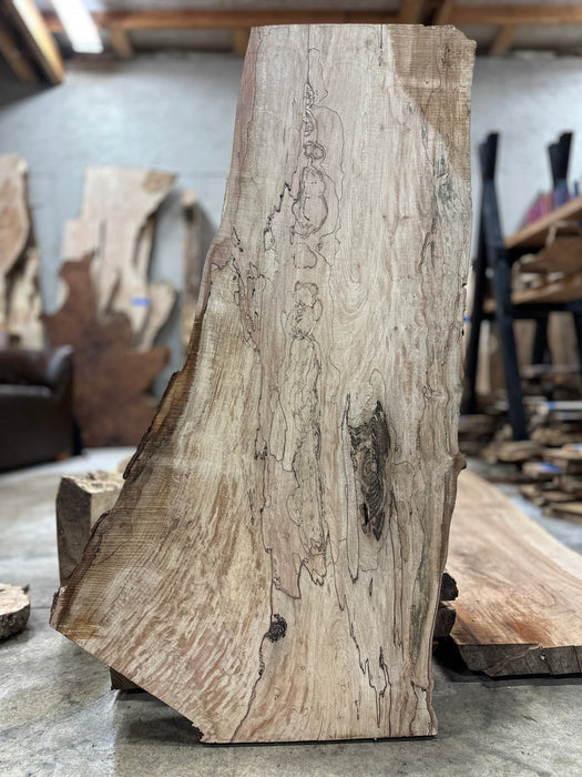 Double Diamond | LiveEdge Big Leaf Maple Premium Spalt | Big Leaf Maple | Hamilton Lee Supply