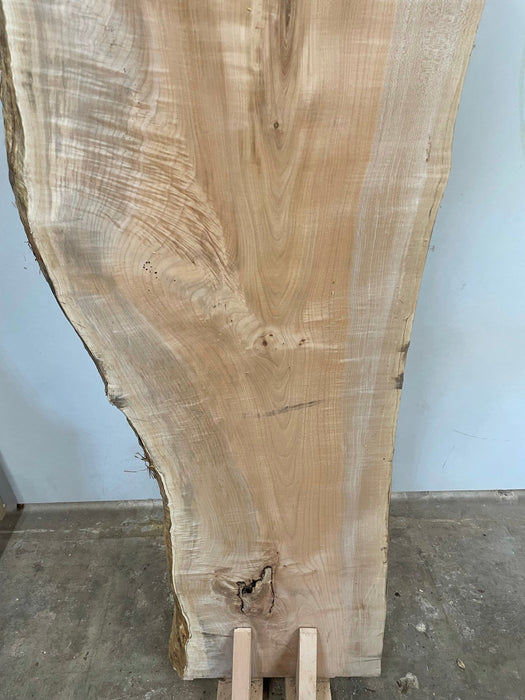 Hamilton Lee Supply | LiveEdge Big Leaf Maple Slab | Big Leaf Maple | Hamilton Lee Supply