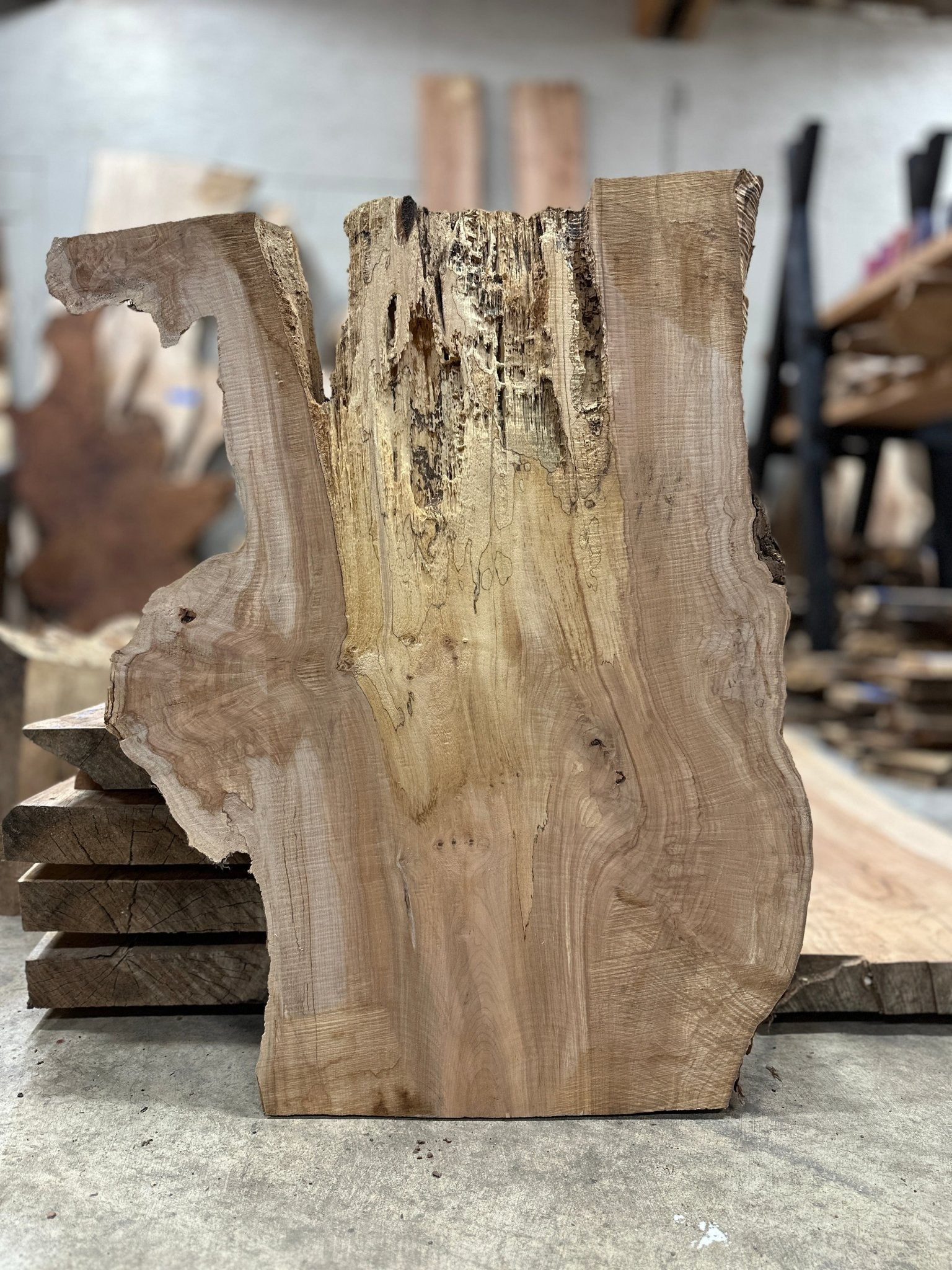 LiveEdge Big Leaf Maple Slab | Big Leaf Maple | Hamilton Lee Supply