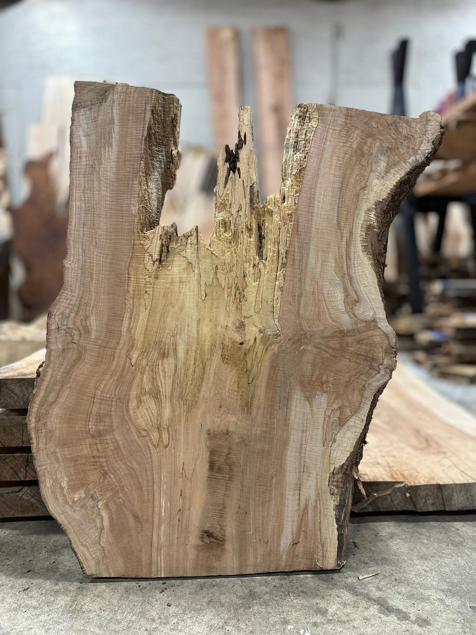 LiveEdge Big Leaf Maple Slab | Big Leaf Maple | Hamilton Lee Supply