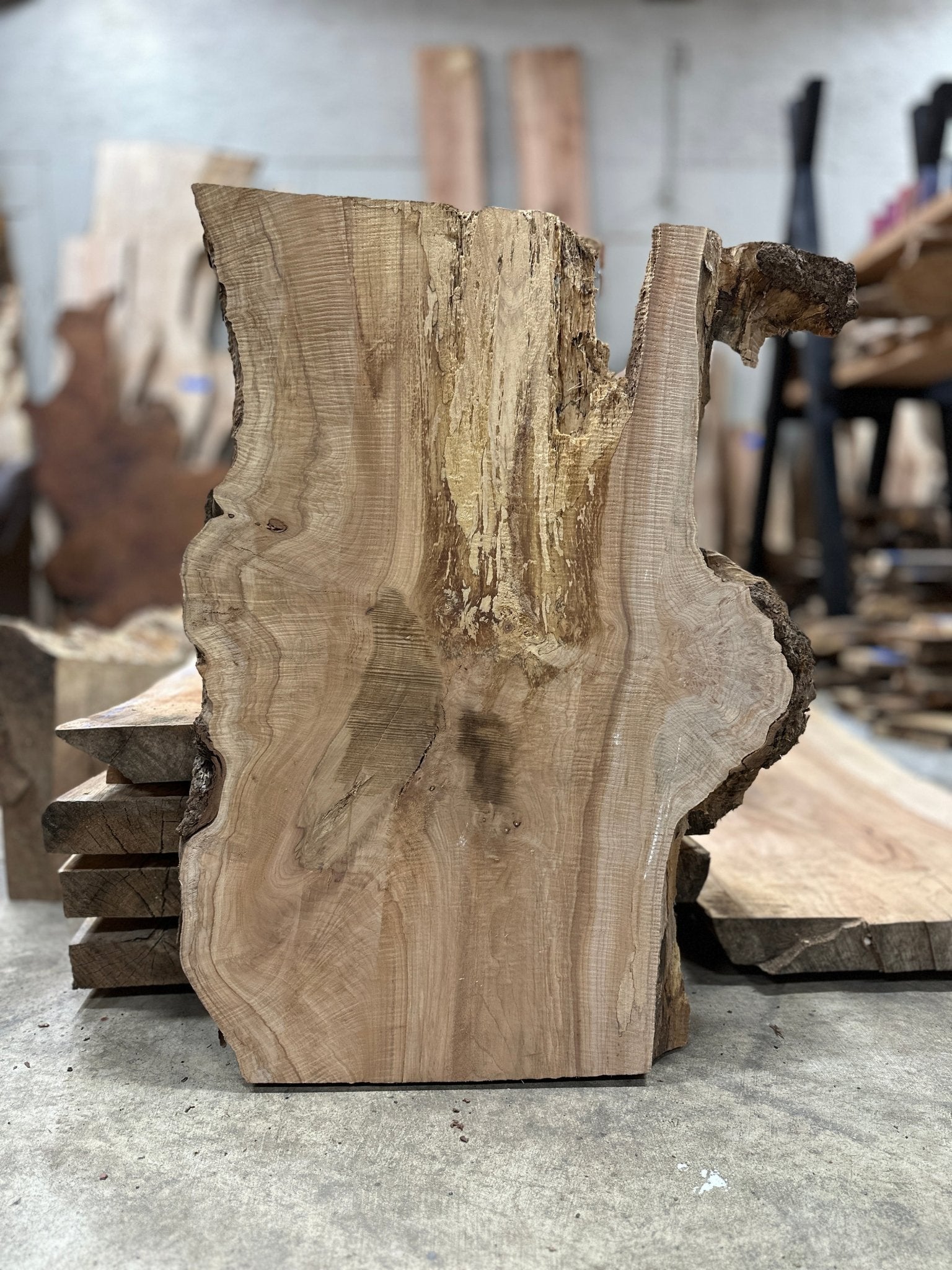 LiveEdge Big Leaf Maple Slab | Big Leaf Maple | Hamilton Lee Supply