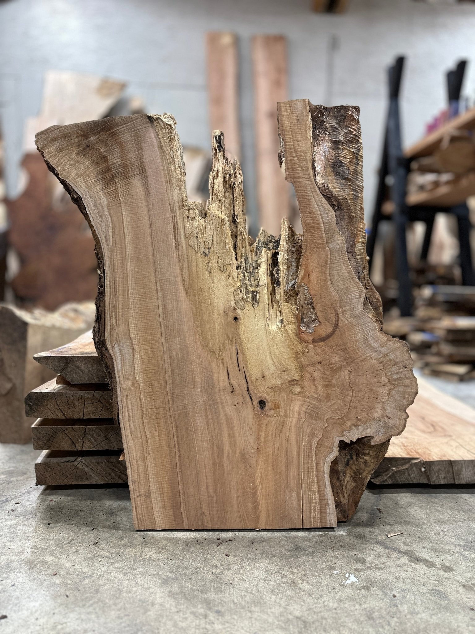 LiveEdge Big Leaf Maple Slab | Big Leaf Maple | Hamilton Lee Supply