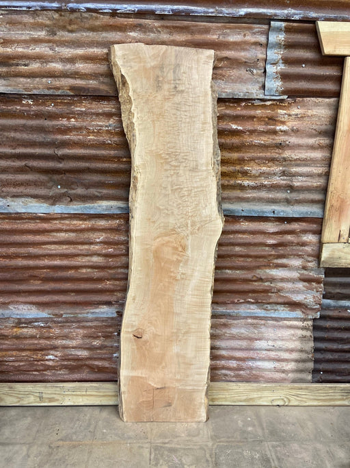 Hamilton Lee Supply - LiveEdge Big Leaf Maple Slab - Hamilton Lee Supply