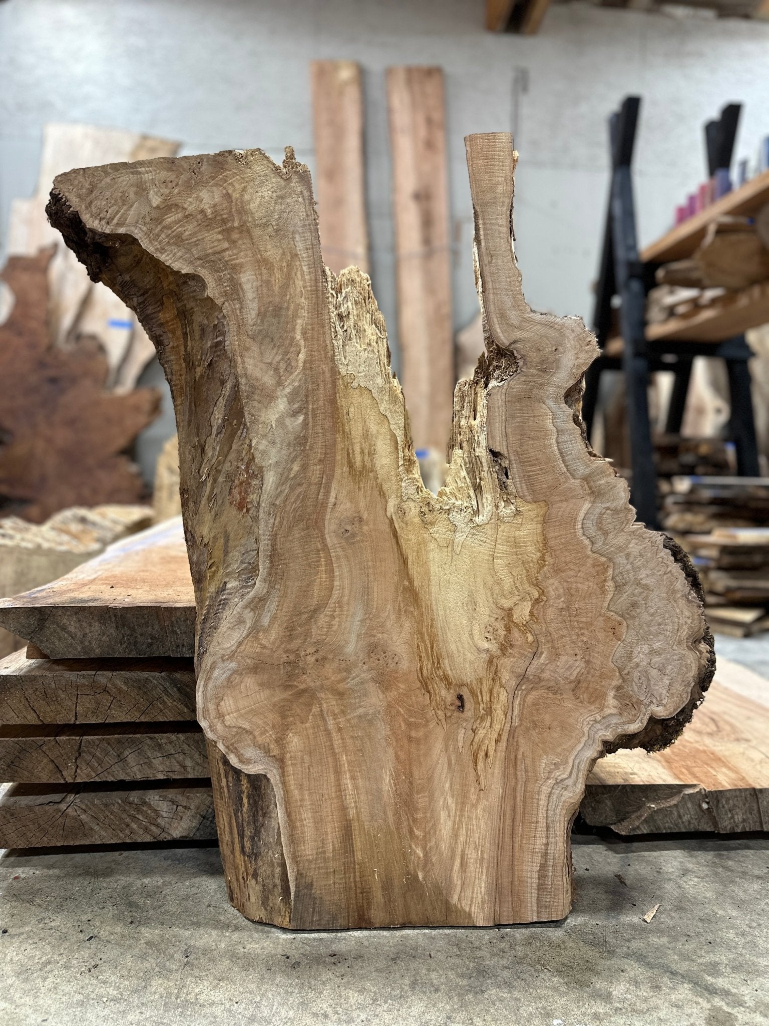 LiveEdge Big Leaf Maple Slab | Big Leaf Maple | Hamilton Lee Supply