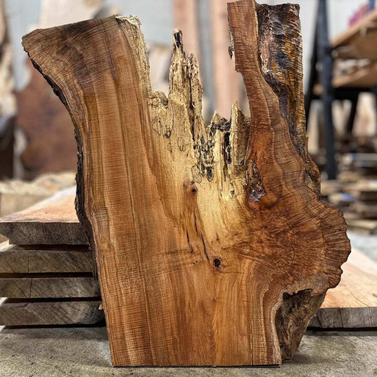 Double Diamond | LiveEdge Big Leaf Maple Slab | Big Leaf Maple ...