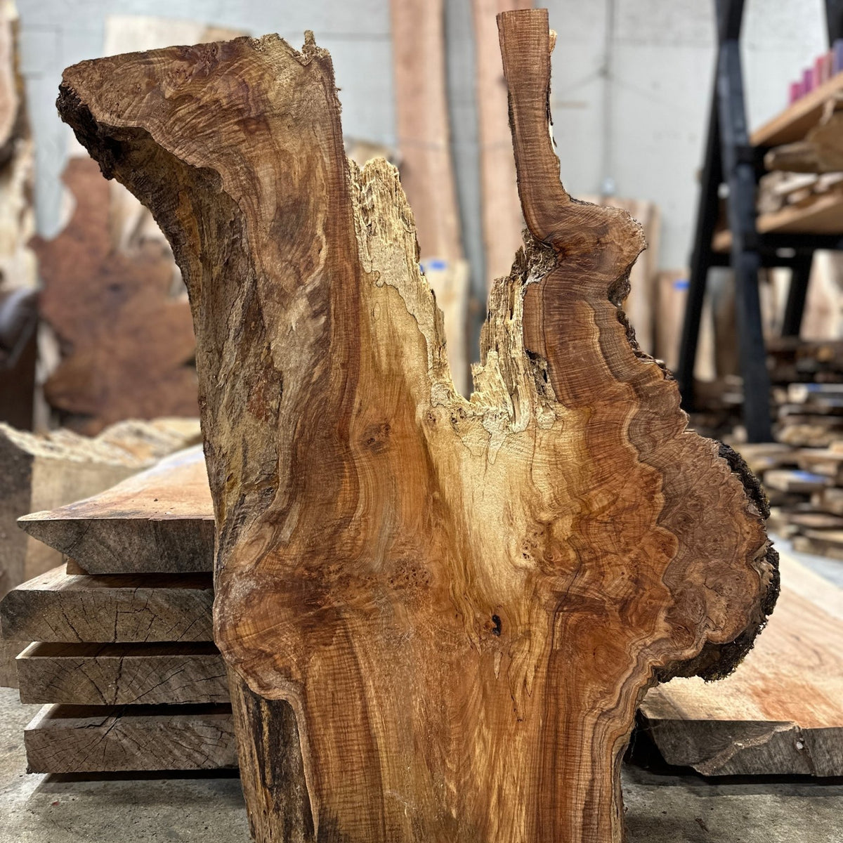 Double Diamond | LiveEdge Big Leaf Maple Slab | Big Leaf Maple ...
