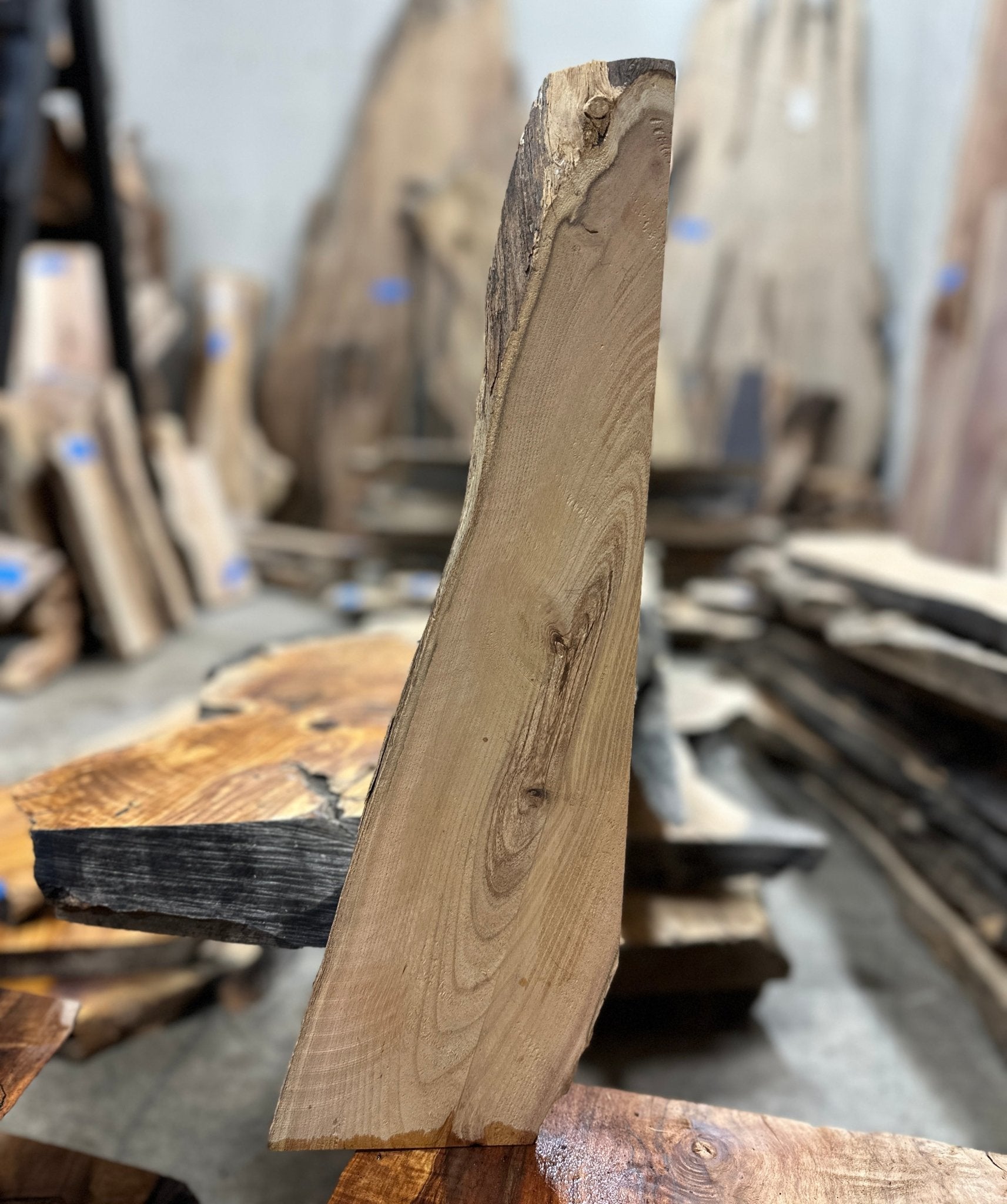 LiveEdge Black Locust | Black Locust | Hamilton Lee Supply