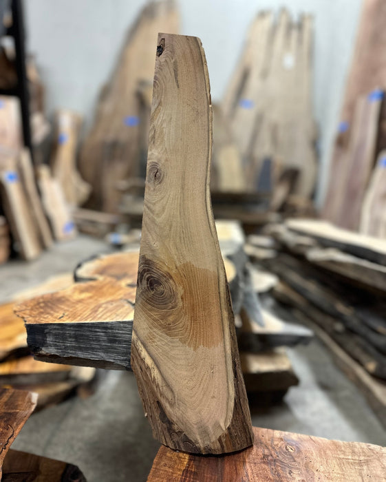 Double Diamond | LiveEdge Black Locust | Black Locust | Hamilton Lee Supply