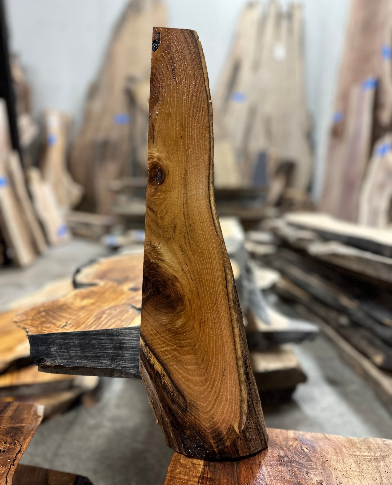 LiveEdge Black Locust | Black Locust | Hamilton Lee Supply