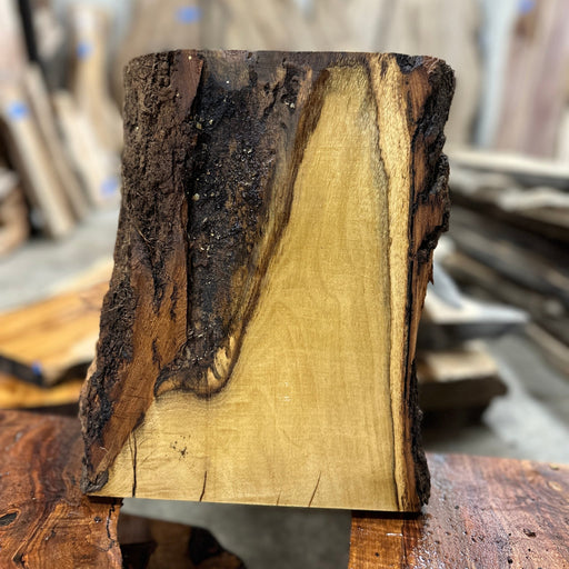 Crazy Grain - LiveEdge Black Locust - Hamilton Lee Supply
