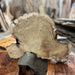 Crazy Grain | LiveEdge Black Locust | Black Locust | Hamilton Lee Supply