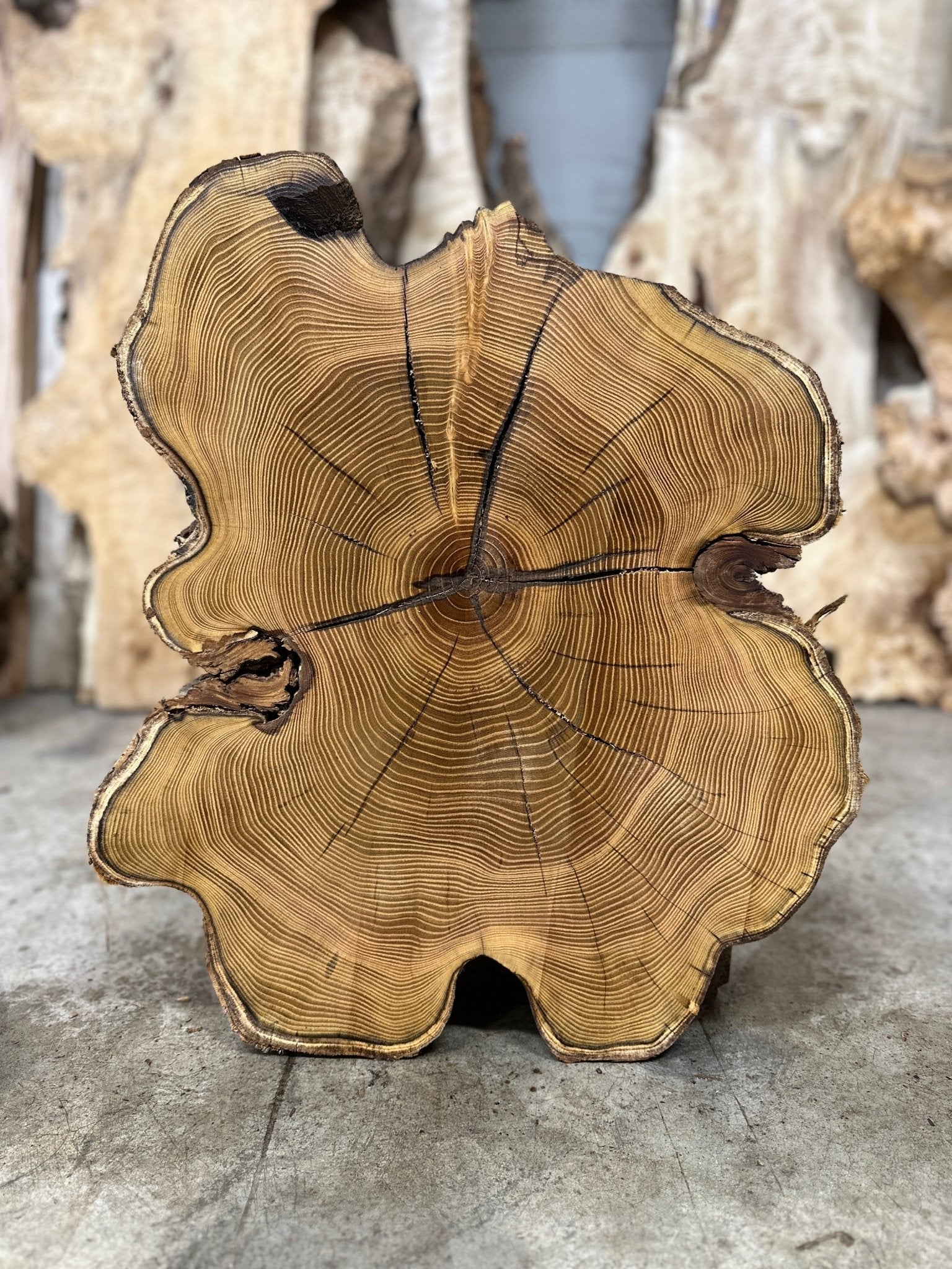 LiveEdge Black Locust | Black Locust | Double Diamond