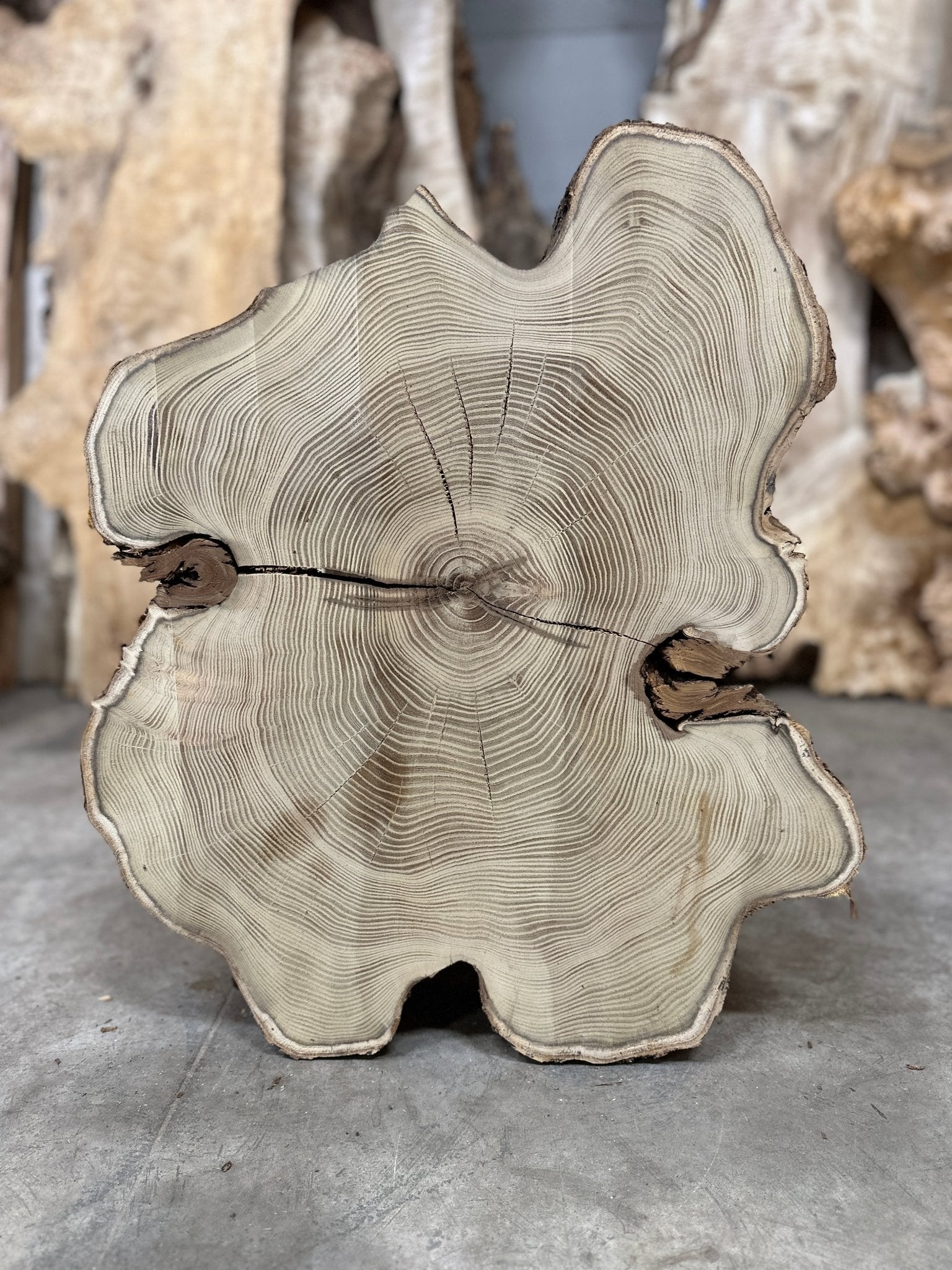LiveEdge Black Locust | Black Locust | Double Diamond