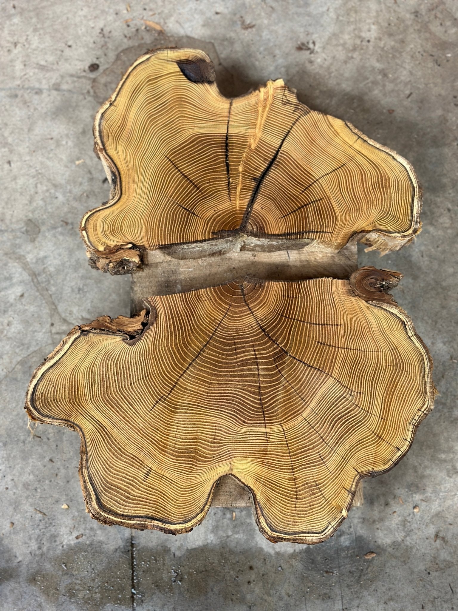 LiveEdge Black Locust | Black Locust | Double Diamond