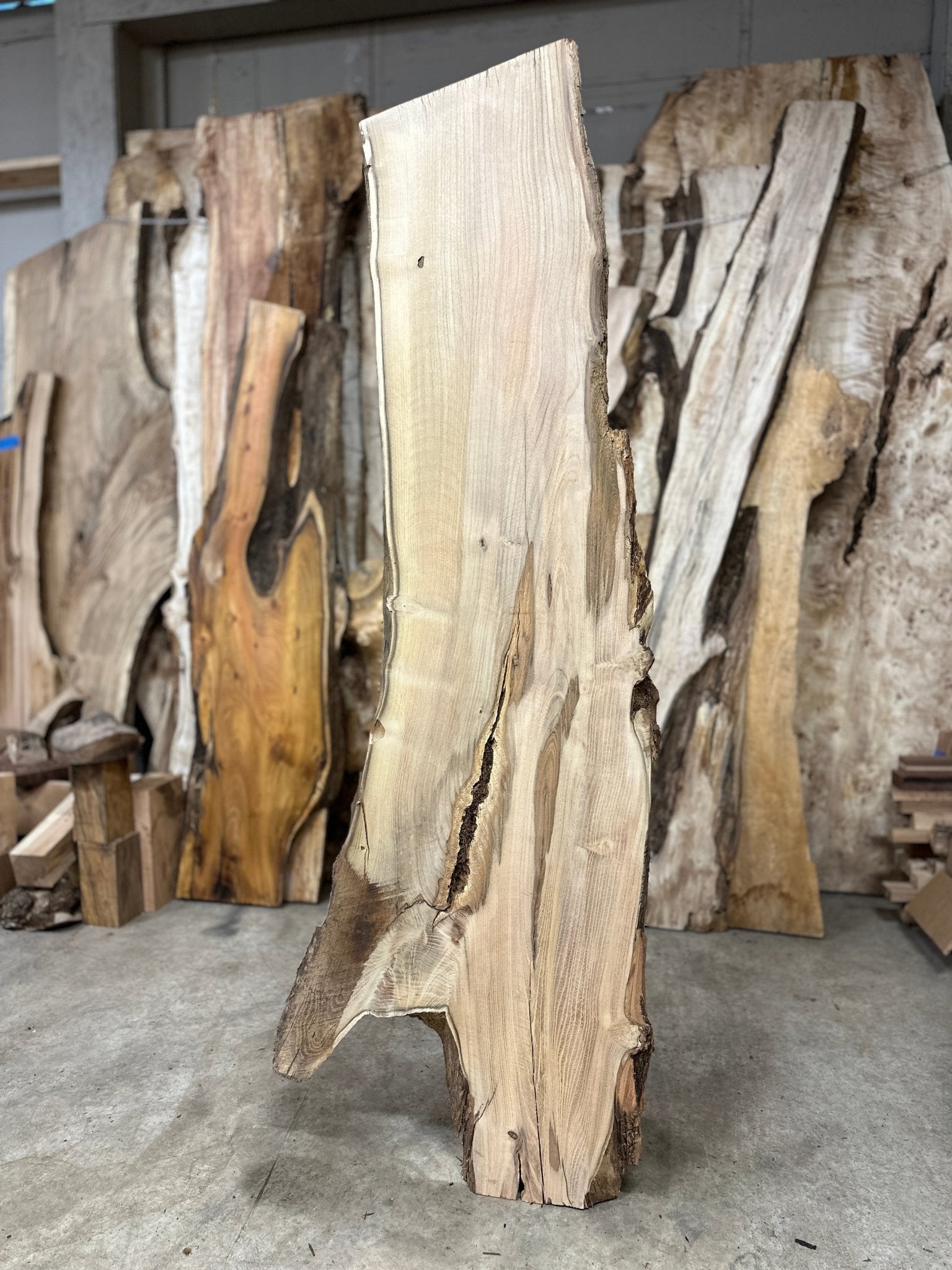 LiveEdge Black Locust | Black Locust | Hamilton Lee Supply