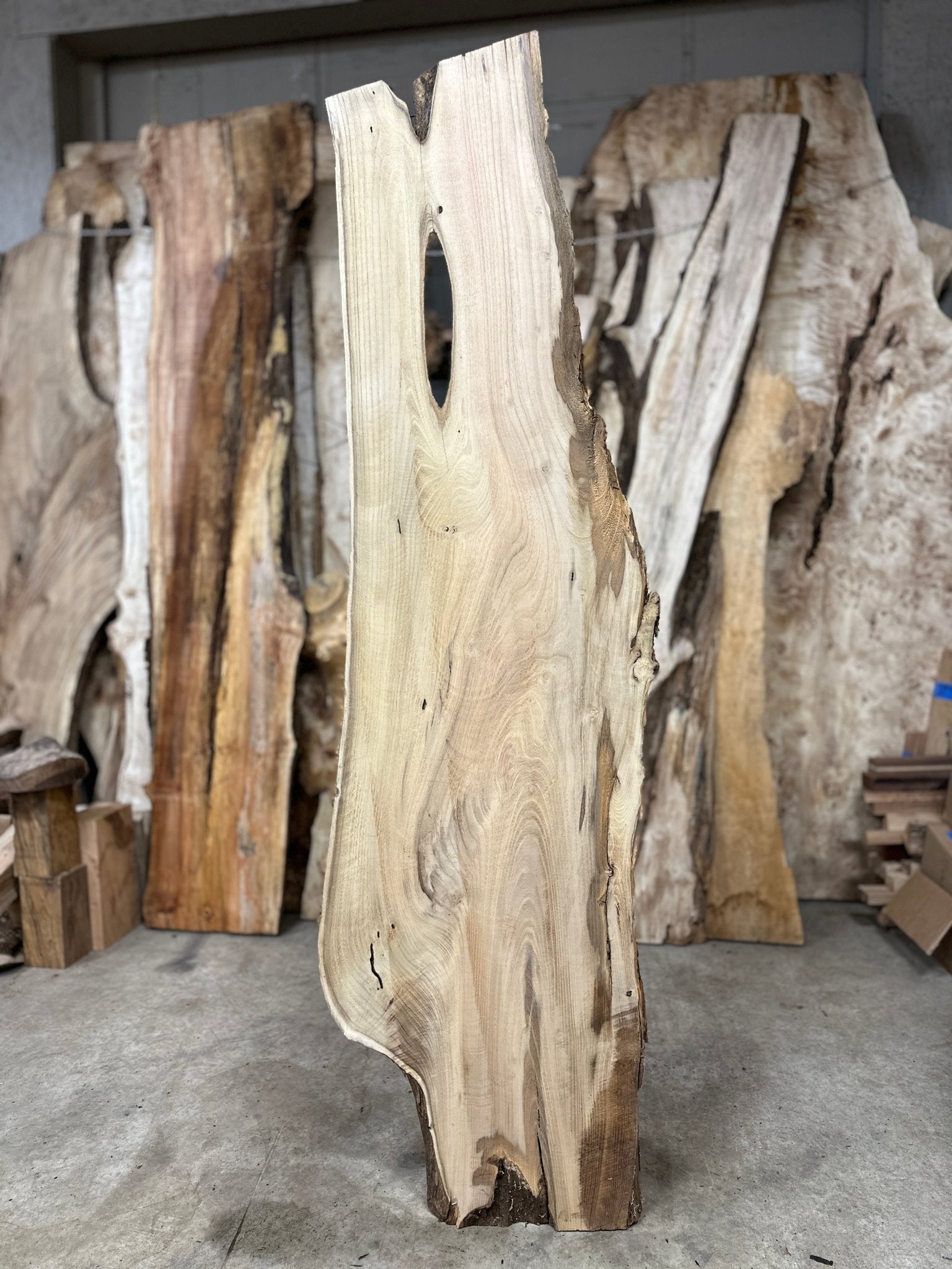 LiveEdge Black Locust | Black Locust | Hamilton Lee Supply