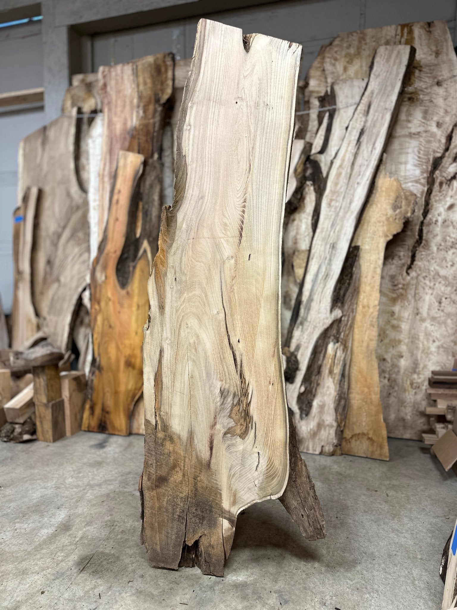 LiveEdge Black Locust | Black Locust | Hamilton Lee Supply