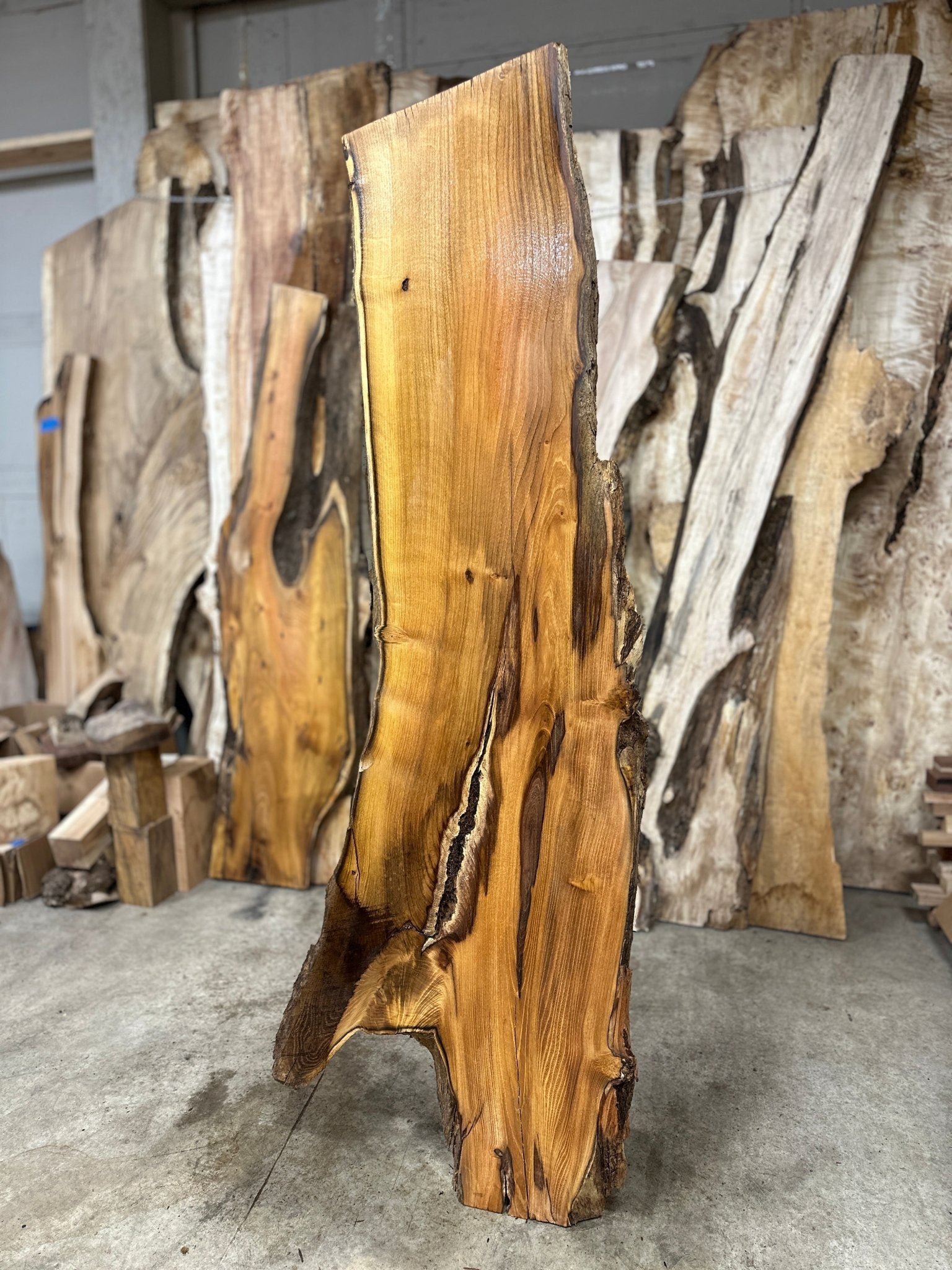 LiveEdge Black Locust | Black Locust | Hamilton Lee Supply