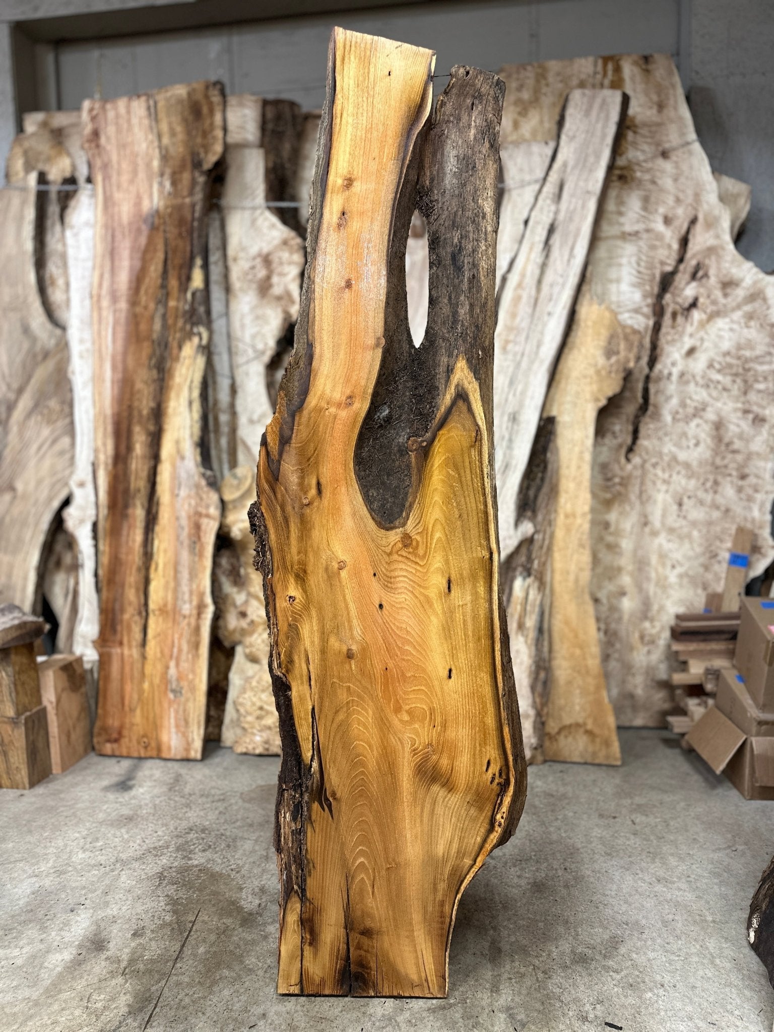 LiveEdge Black Locust | Black Locust | Hamilton Lee Supply