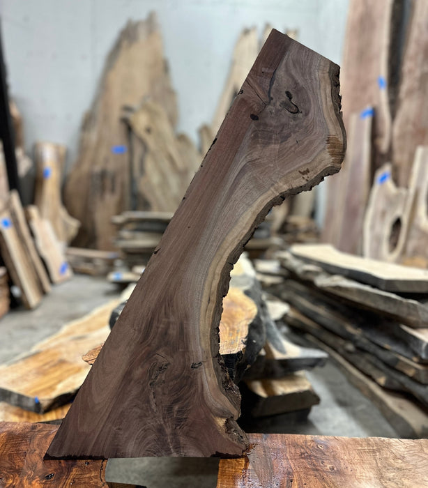 Crazy Grain | LiveEdge Black Walnut | Black Walnut | Hamilton Lee Supply