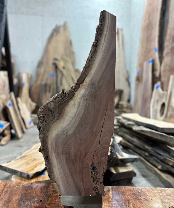Crazy Grain | LiveEdge Black Walnut | Black Walnut | Hamilton Lee Supply