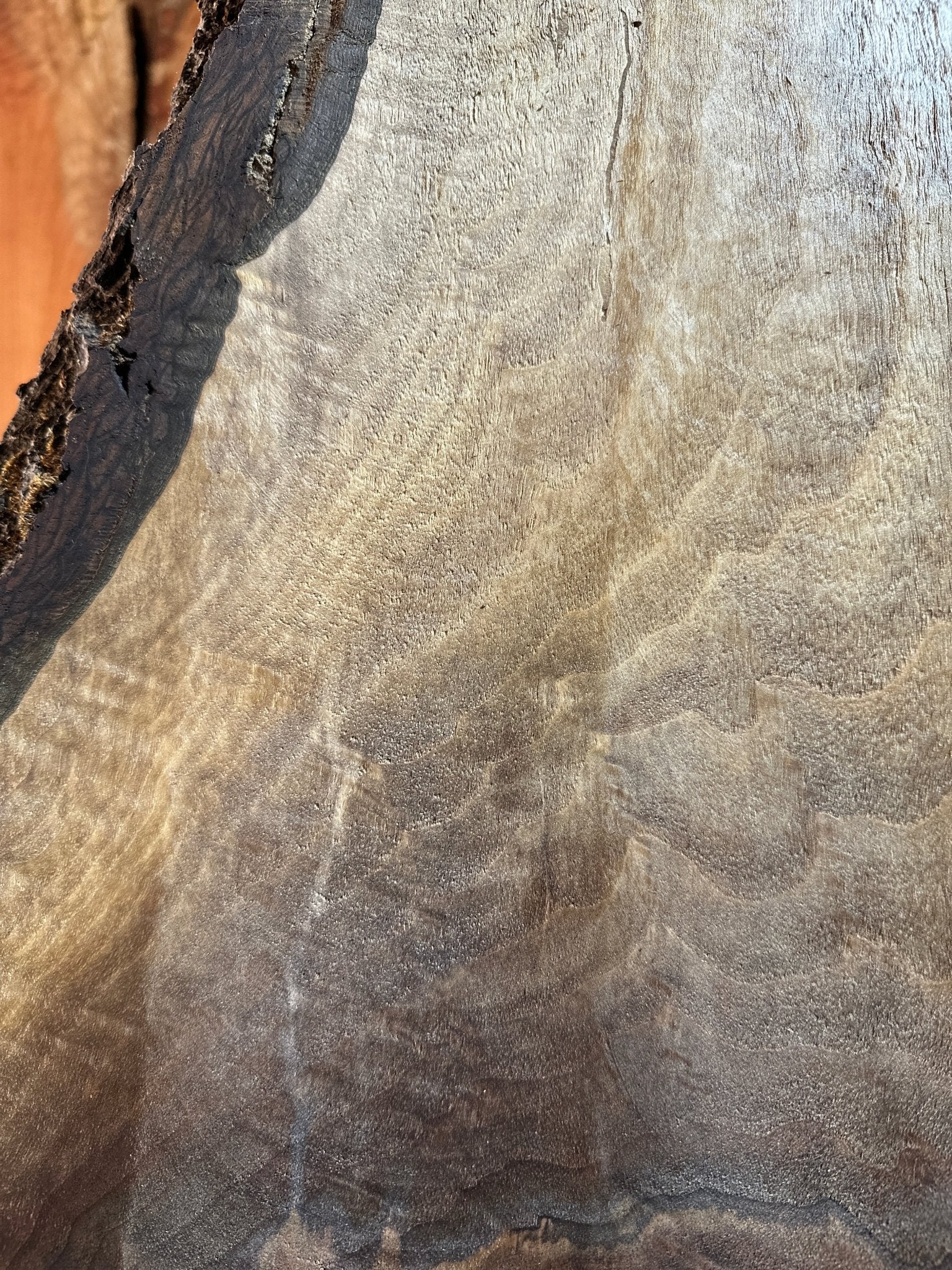 LiveEdge Black Walnut | Black Walnut | Hamilton Lee Supply