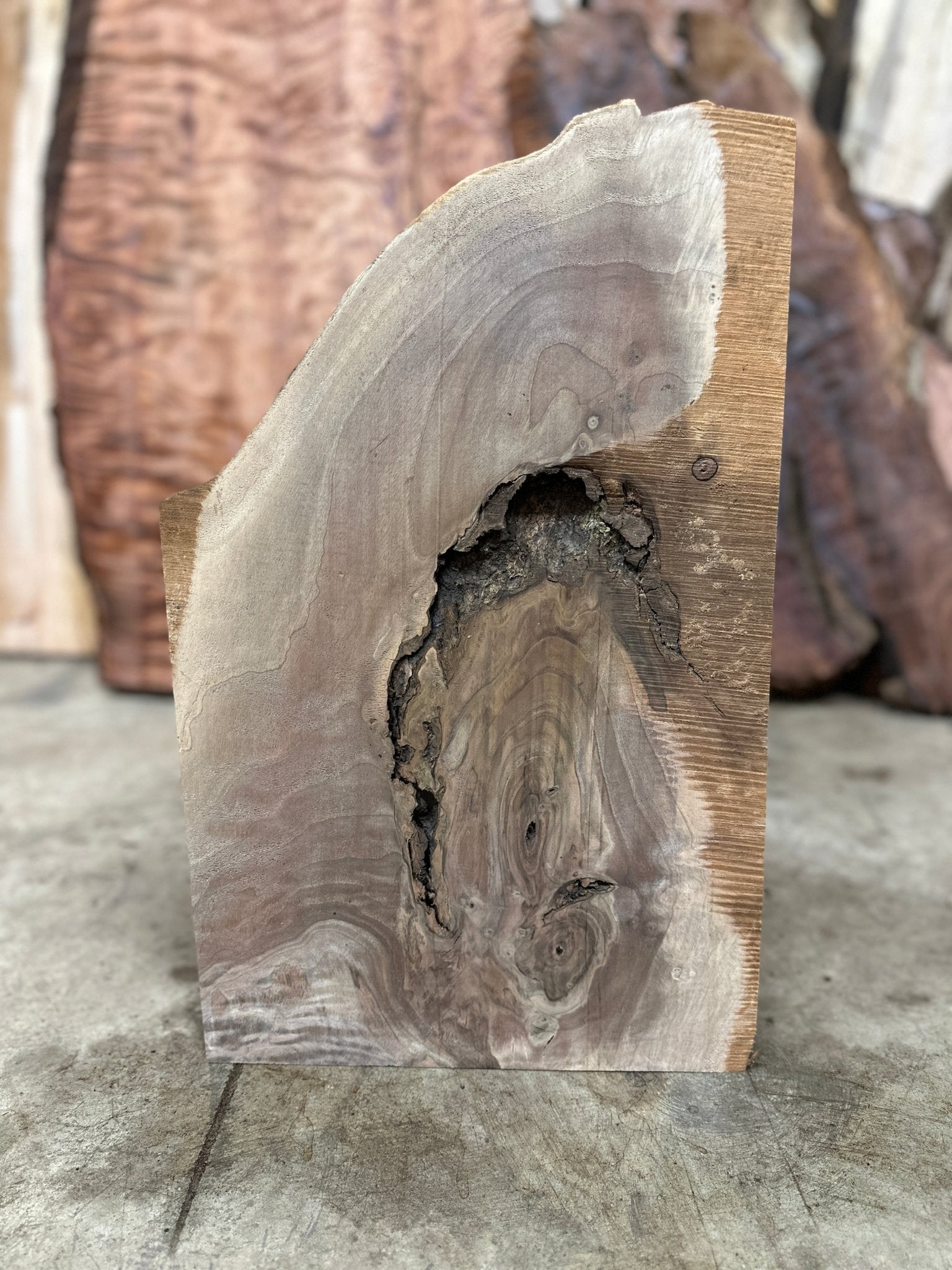 LiveEdge Black Walnut | Black Walnut | Hamilton Lee Supply