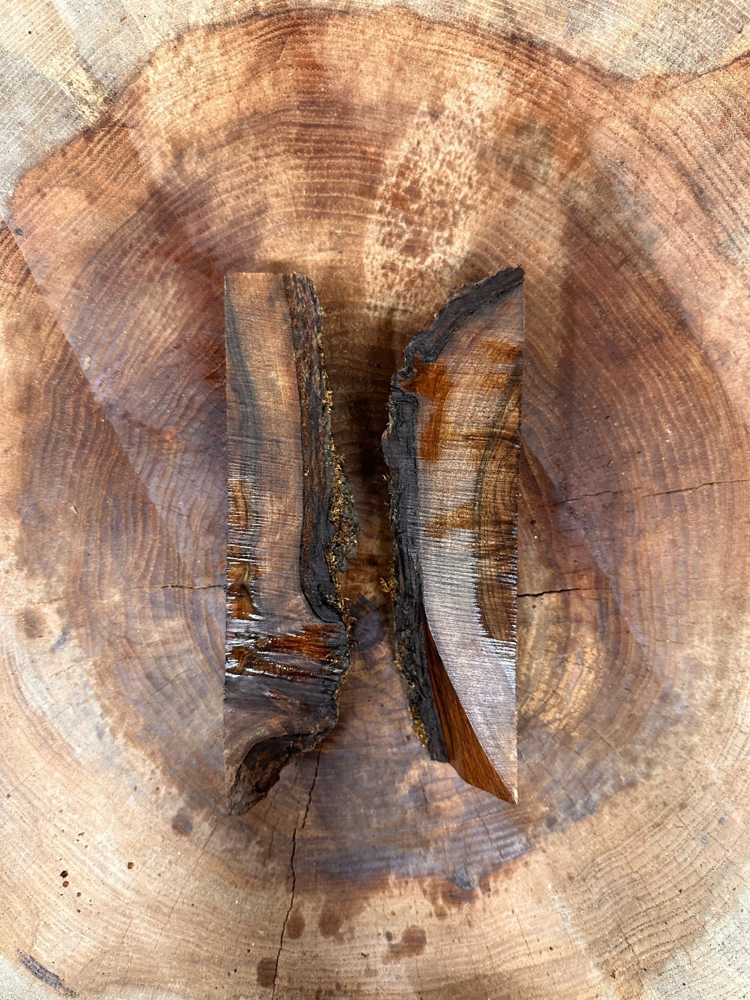 LiveEdge Black Walnut | Black Walnut | Hamilton Lee Supply