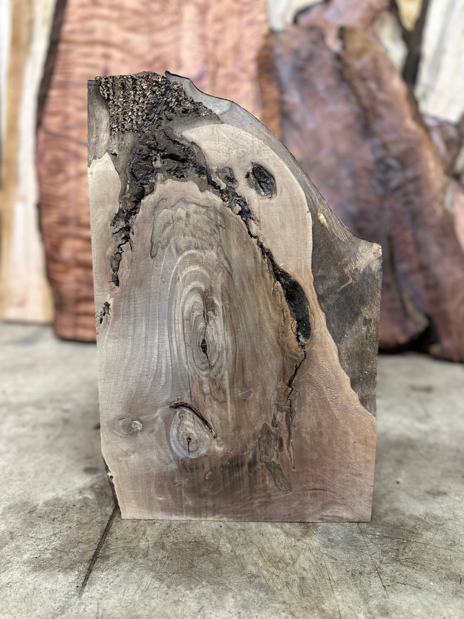 LiveEdge Black Walnut | Black Walnut | Hamilton Lee Supply
