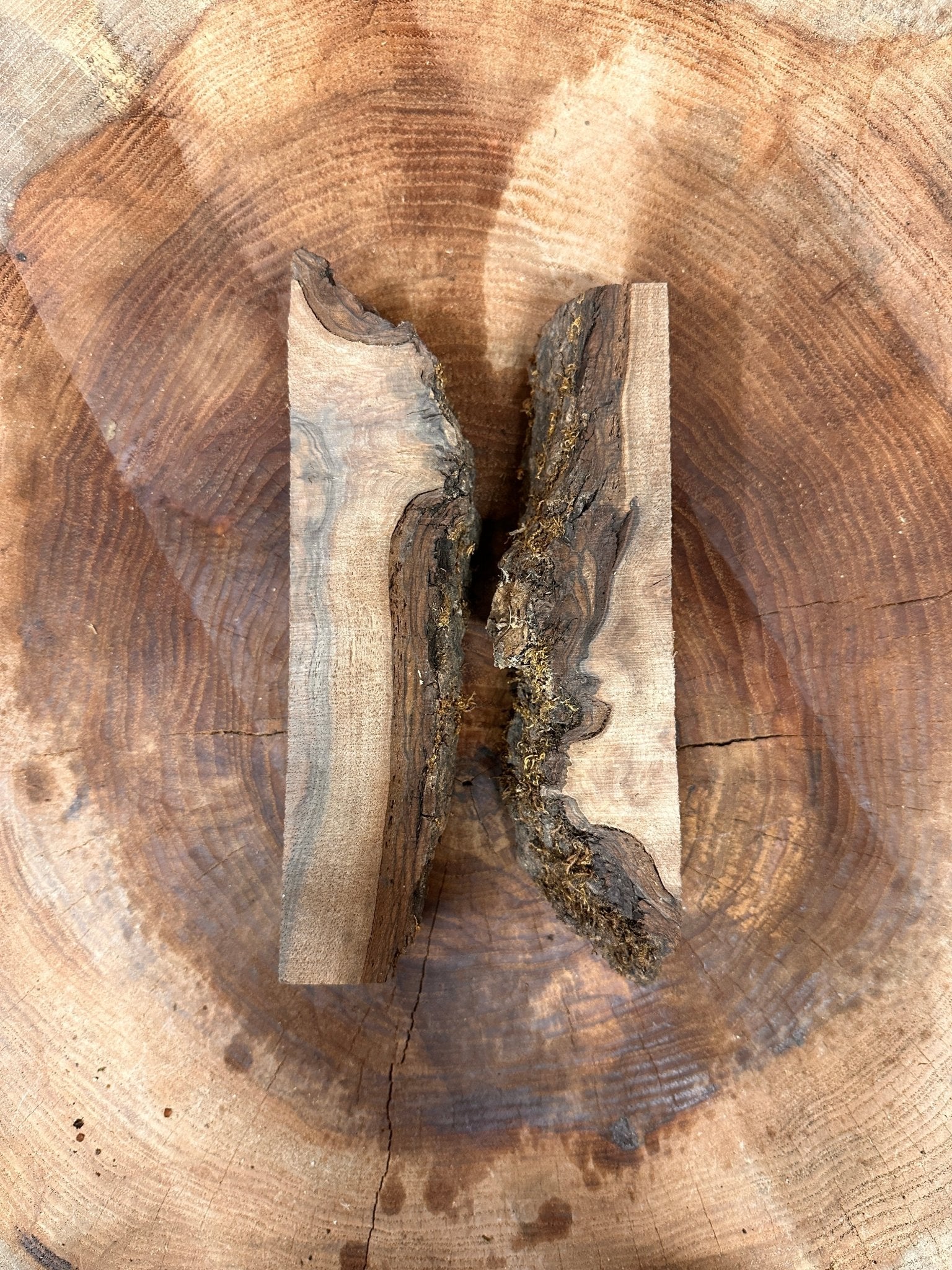 LiveEdge Black Walnut | Black Walnut | Hamilton Lee Supply